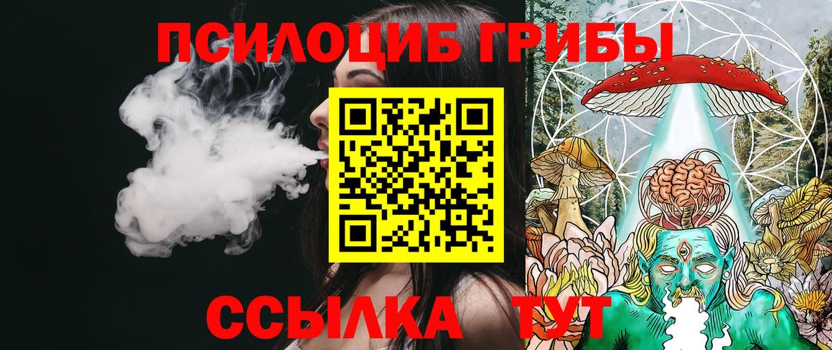 Псилоцибиновые грибы Psilocybine cubensis  Вход с VPN  Нижний Новгород 