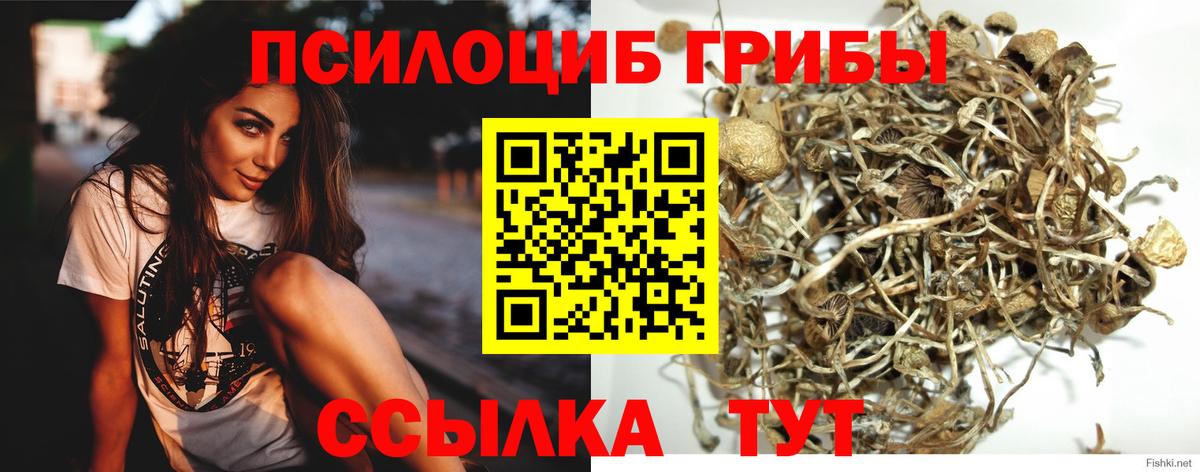Псилоцибиновые грибы GOLDEN TEACHER Нижний Новгород
